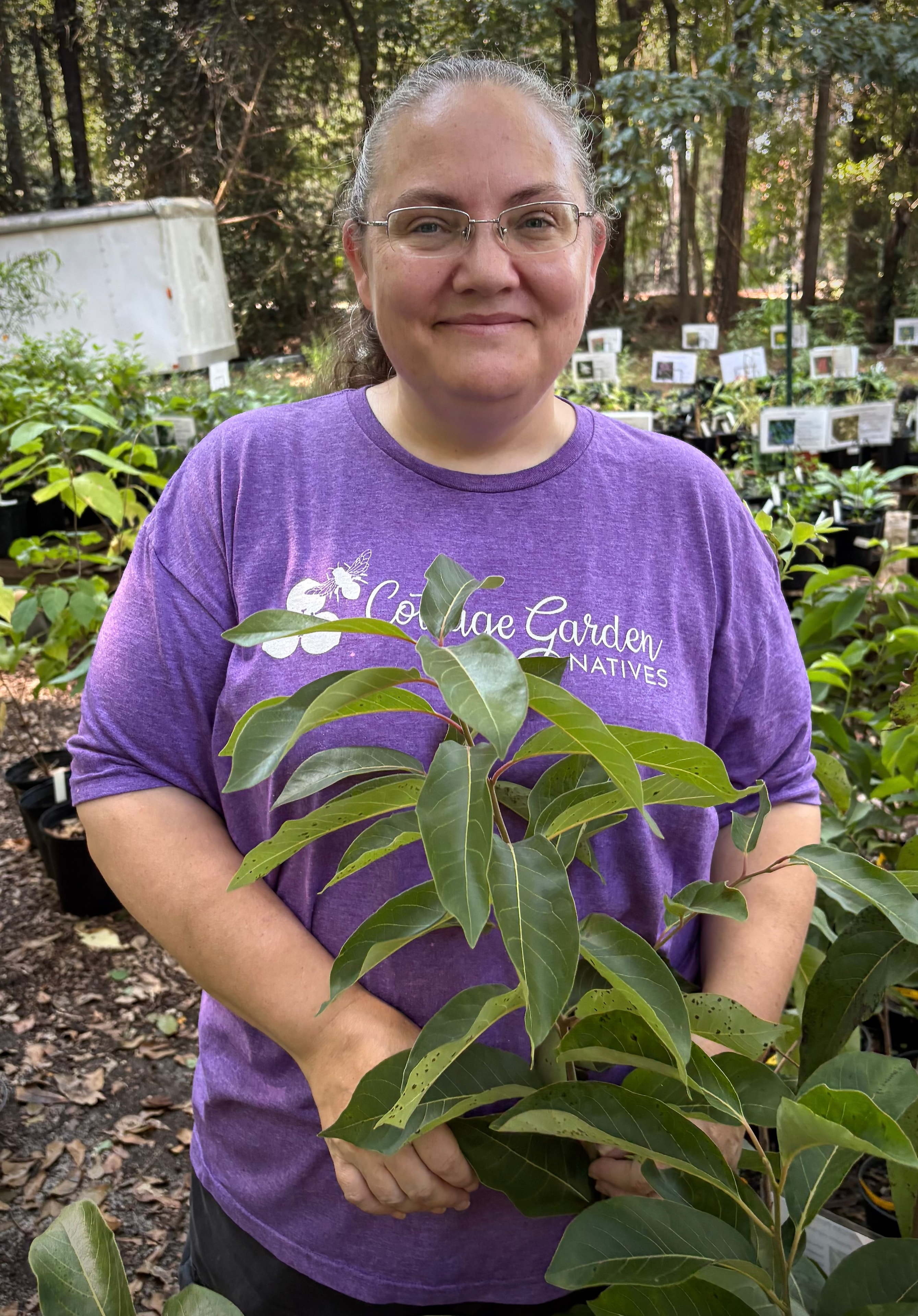 Laura Sultan, owner of Cottage Garden Natives, with an American persimmon (Diospyros virginiana)